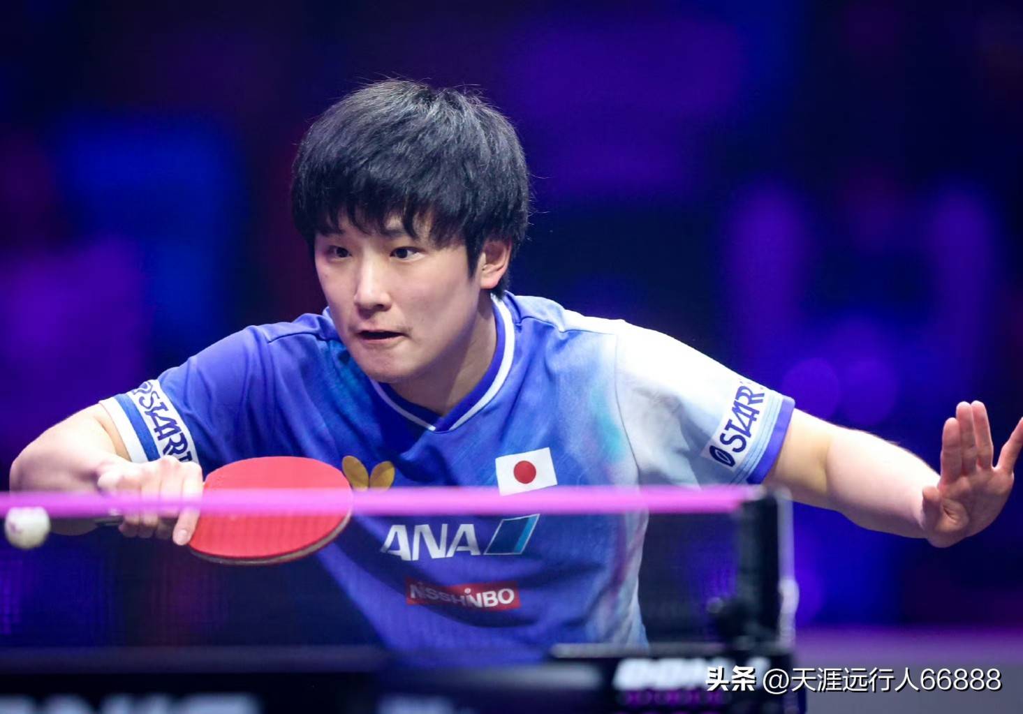 英格兰队碾压德国队,张本智和带队取胜 英格兰队碾压德国队,张本智和带队取胜