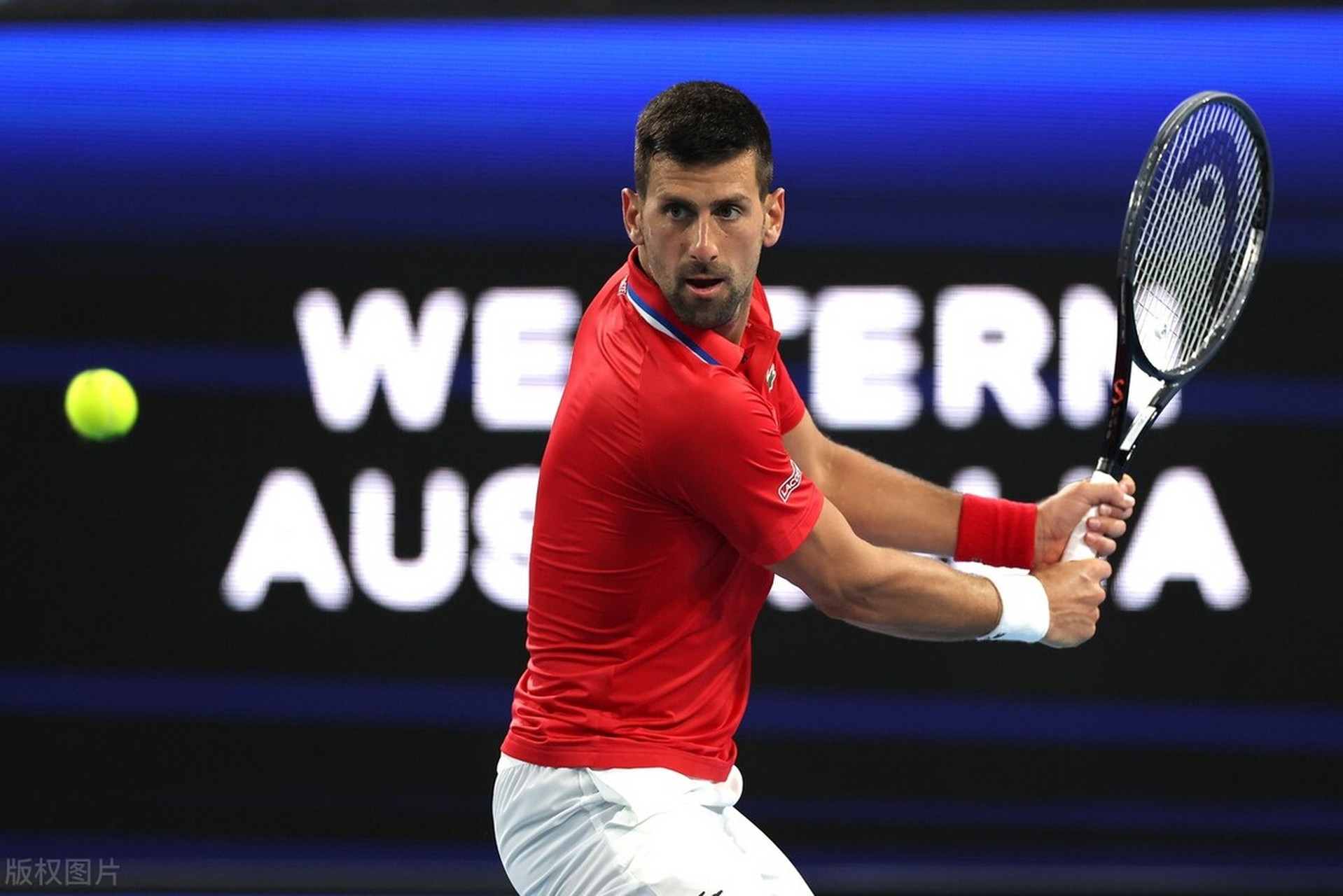 联合杯轻取ATP总决赛,德约科维奇关键制胜的简单介绍 联合杯轻取ATP总决赛,德约科维奇关键制胜的简单介绍